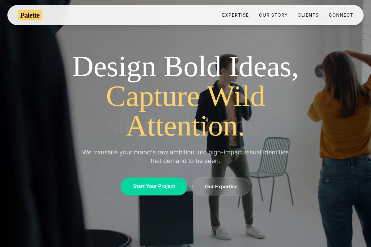Palette Creative Direction